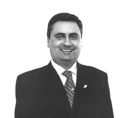 Roque Pellizzaro Junior